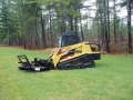 ASV with mulching head for Invasive Species